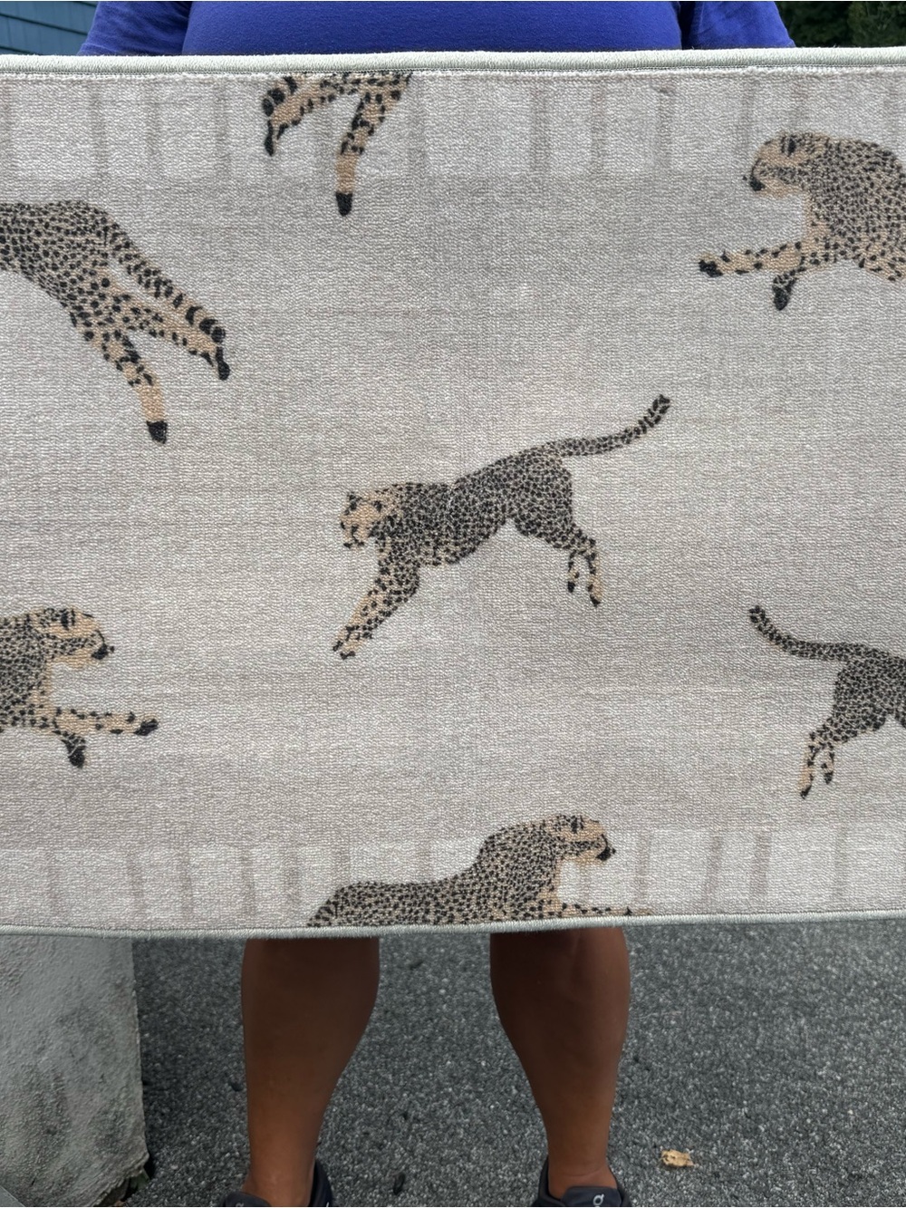 Beige Cheetah Pattern Accent Rug - Home Accents